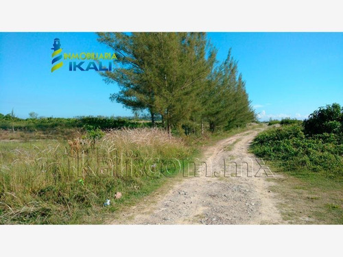 Imagen 2 de 12 de Terreno En Venta Tamiahua
