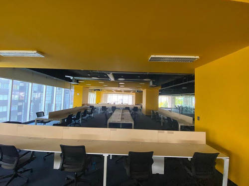 Oficina Plug And Play De 3,439 M² En Renta: Espacio Amplio Y Listo Para Ocuparlo