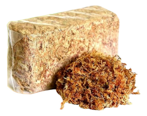 Sphagnum 1 Kilo