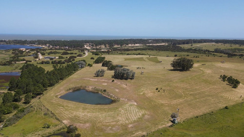 Imagen 2 de 30 de Chacra En Venta, Fraccion De 20 Has En Jose Ignacio (ref: Atm-6766)