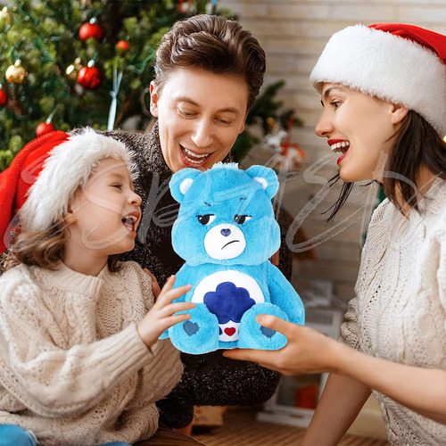 Wnn 2025 Cuddly Bears Plush - Care Bears Grumpy 1a