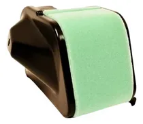 Comprar Filtro De Aire Can Am Outlander Renegade 650 800 2009-2012