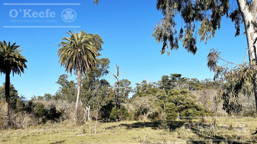 Imagen 12 de 21 de Barrio Privado Aires De Hudson - Lote En Venta