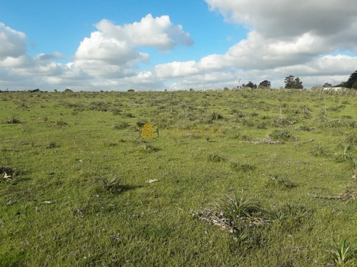 Campo En Garzon - Ideal Para Uso De Descanso - Consulte!!!!- Ref: 3606