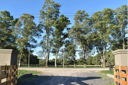 Imagen 6 de 13 de Últimos Lotes En Uribelarrea Chacras Las Acacias