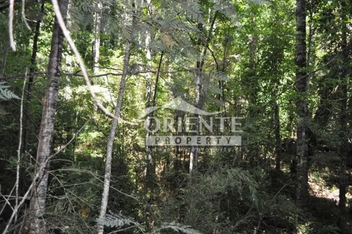 Parcela 5.000 M2 En Exclusivo Condominio Reserva Huilo Huilo