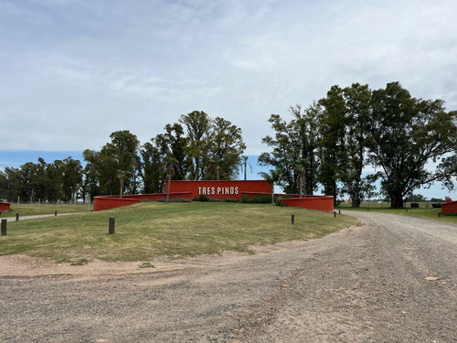 Ruta Nº 6 Km 142 , Gral Rodrig. B Privado Permuta