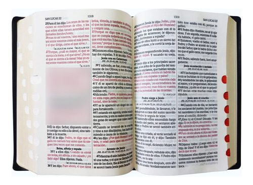Letra Grande Biblia Reina Valera Concordancia Amplia. Índice