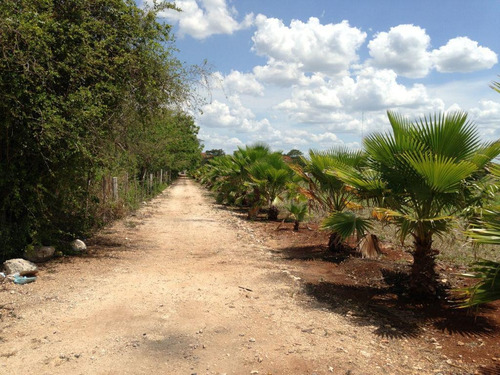 Imagen 10 de 25 de Terreno Sobre Avenida De Cuatro Carriles En Yucatán $320m2 -142m De Frente -71298m2- Tizimín