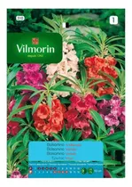 Comprar Semillas Flores - Balsamina - Envíos