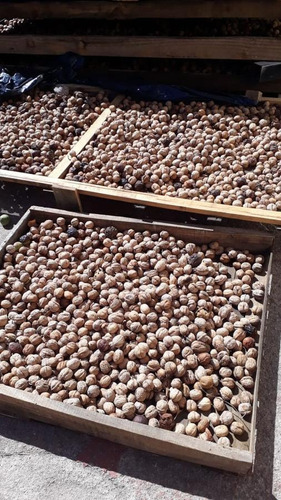 Imagen 29 de 30 de Finca En Venta En Los Molinos La Rioja