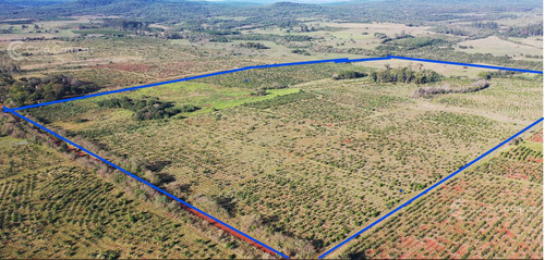 Se Vende Chacra De 48 Ha En  Apostoles Misiones.  28 Ha Con Yerba Mate.