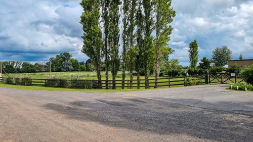 Imagen 3 de 12 de Sensacional Lote 1200m - Los Palenques Cc - Vistas De Campo Abiertas - Super Oportunidad -