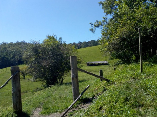 Imagem 24 de 30 de Fazenda Em Juquitiba; Fazenda À Venda Em Juquitiba Sp - 241 - 32982716