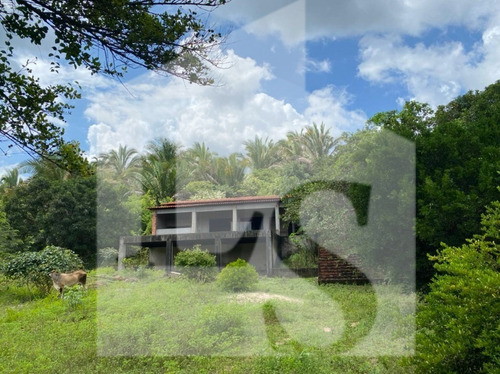 Imagem 3 de 3 de Oportunidade - Sitio No Bairro Santa Luz - St00009 - 70249390