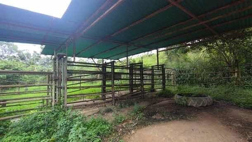 Imagen 7 de 14 de Baja De Precio... En Venta Finca En El Municipio Montalban - Carabobo