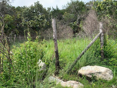 Imagen 2 de 2 de Terreno En Venta Chichima Acapetahua