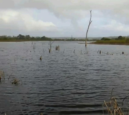 Imagen 5 de 11 de Finca En Altagracia De Orituco- Guarico