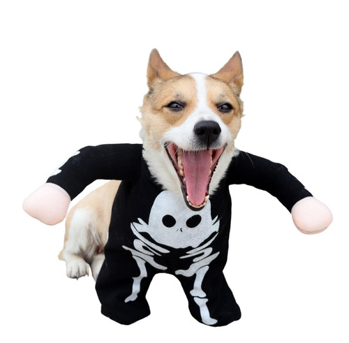 Disfraz De Perro Esqueleto Disfraces De Perro De Halloween R