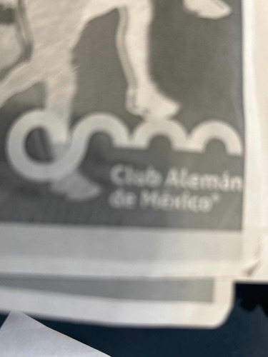 Club Alemán México