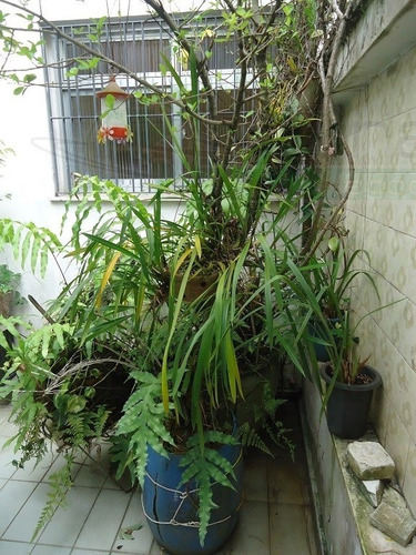 Imagem 13 de 15 de Casa Sobrado Para Venda, 2 Dormitório(s), 168.0m² - 3794