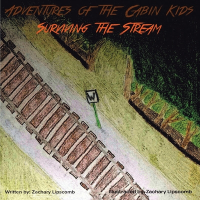Libro Adventures Of The Cabin Kids: Surviving The Stream ...