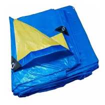 Comprar Capa Lona 5x5 Mt Azul Cobertura Piscina E Proteção 150 Micra