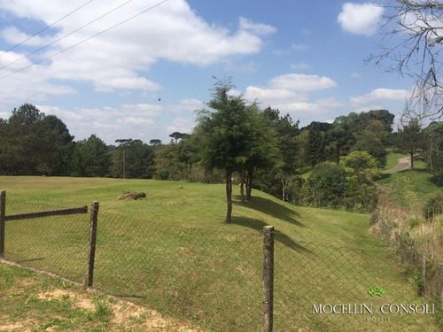 Imagem 4 de 9 de Terreno À Venda, 80000 M² Por R$ 3.000.000,00 - Loteamento Itaboa - Campo Largo/pr - Te0033