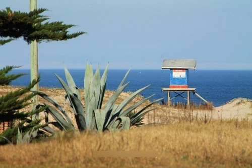 Imagen 6 de 13 de Lotes Céntricos Balneario La Esmeralda Rocha Uruguay Dueño