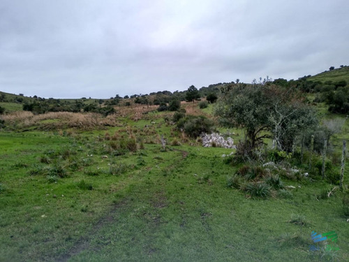 Imagen 28 de 30 de Vendo Excelente Chacra De 39 Hectáreas Para Granja Turística O Tambo, Aigua, Punta Del Este - Aiguá Aiguá