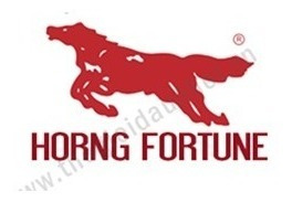 Imagen 2 de 3 de Cubierta 250x17 F920 Reforzada 4pr Horng Fortune