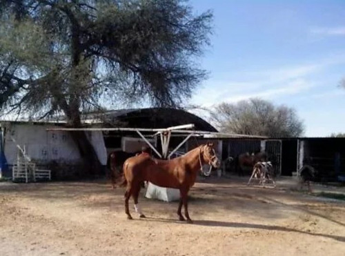 Excelente Rancho En Venta En Aguascalientes Con Lienzo A 10