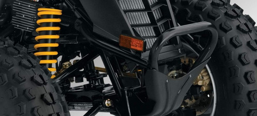 Can Am Ds 250 0km Automoto Lanus