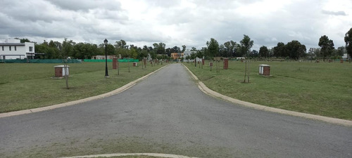 Imagen 3 de 12 de Venta-terreno -pilar- Santo Tomas-interno