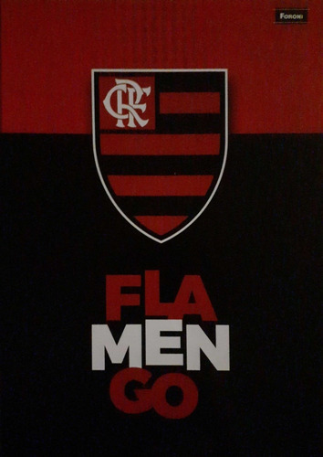 Imagem 3 de 10 de Kit Com Cadernos Do Flamengo + Livro