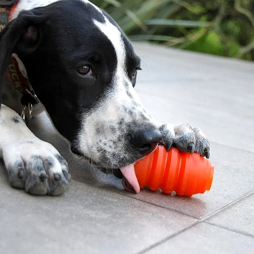 Imagen 3 de 3 de Panal Juguete Para Perro Rellenable Super Resistente Beehive