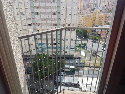 Imagem 1 de 25 de Apartamento Para Locação Em Campinas - Ap02511 - 34792359