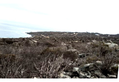 Parcela Frente Al Mar Sector Coquimbo El Panul
