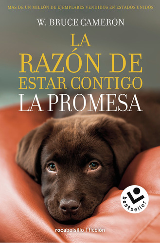 La Razón De Estar Contigo. La Promesa, De Cameron, W. Bruce. Editorial Roca Bolsillo En Español