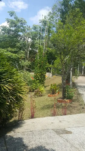 Se Vende Finca En La Vereda El Mango