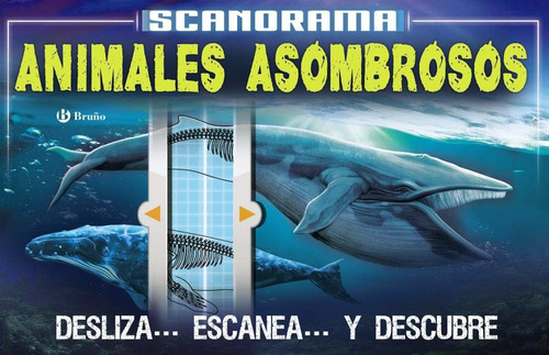 Libro: Scanorama: Animales Asombrosos / Bruño