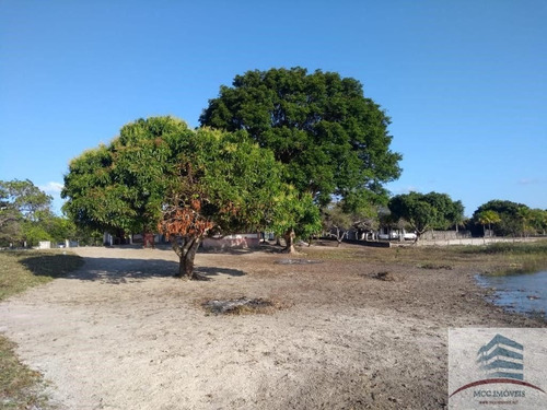 Imagem 10 de 15 de Chácara A Venda Beira A Lagoa Da Boa Água