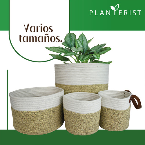 Planterist - Maceta Tejida Autorregable - Mediana Color Tulum
