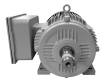 Comprar Motor 5 Cv 4 Pólos Monofásico Nova Motores Ip56