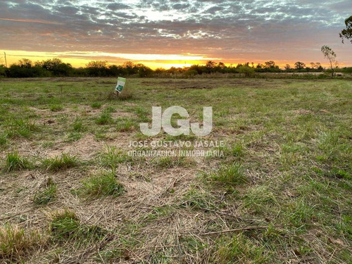 Imagen 2 de 14 de 2.1 Has - Atalaya, Buenos Aires