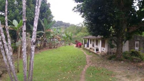 Imagem 2 de 20 de Chácara Com Plantação De Milho, Feijão, Mandioca, Possui Rio Nos Fundos E Com 37000 M² De Área Total, No Bairro Armando Cunha, Em Peruíbe, Analisa Veículo Como Parte Do Pagamento Ref: 8683/ac