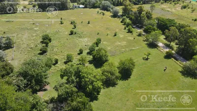 Campo en venta