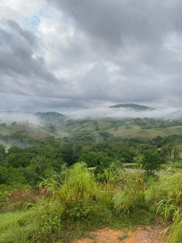 Jarabacoa, Solares Para Villas Con Vista A La Montaña