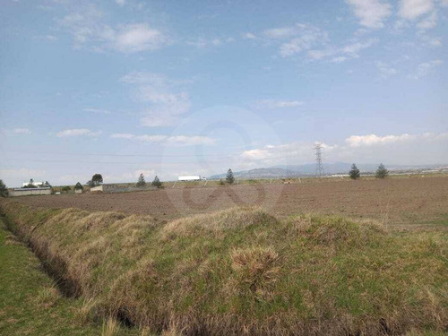 Terreno Comercial En Renta En Rancho O Rancheria Coesillos