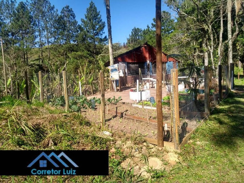 Imagem 13 de 16 de Terreno A Venda - São Lourenço Da Serra - 360